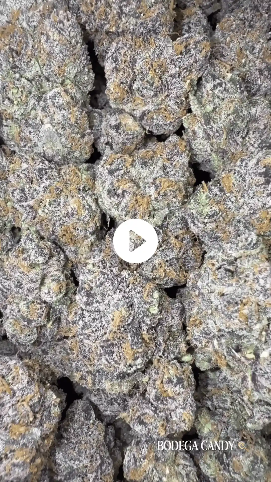 Bodega Candy Image