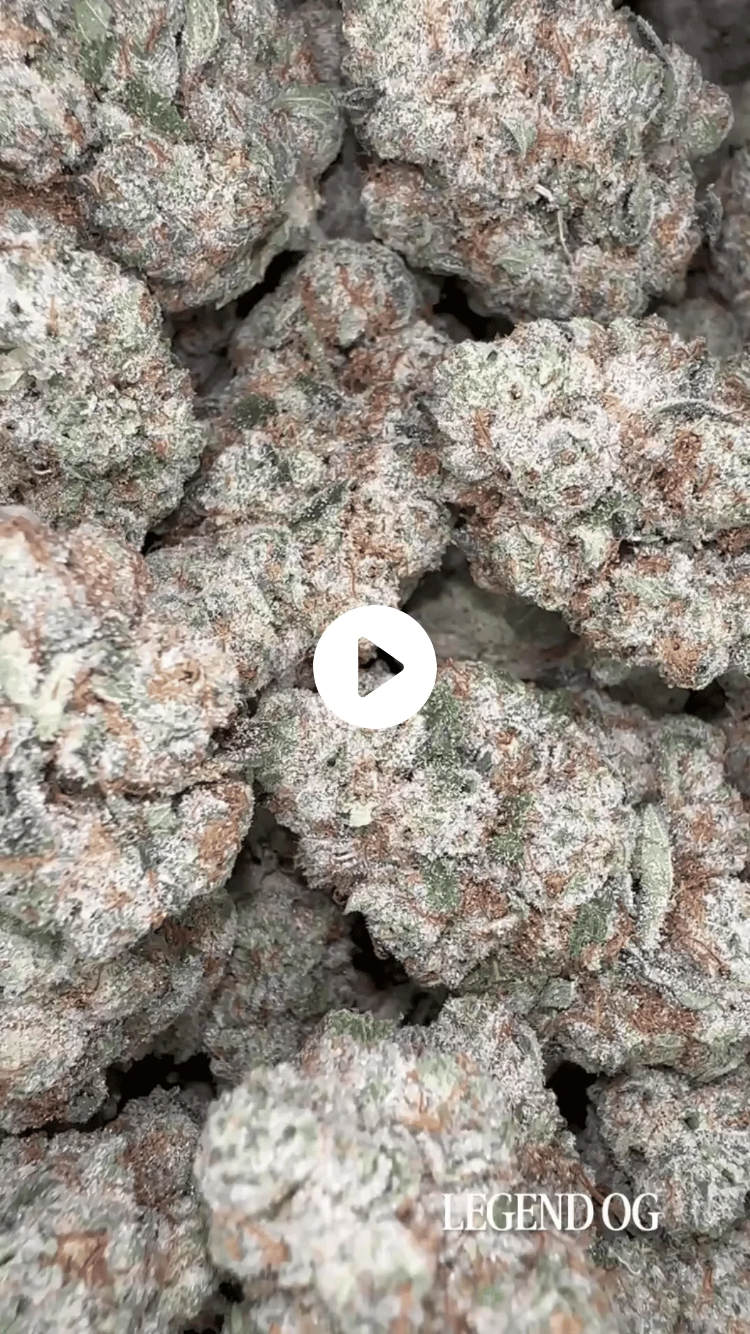 Legend Og Image