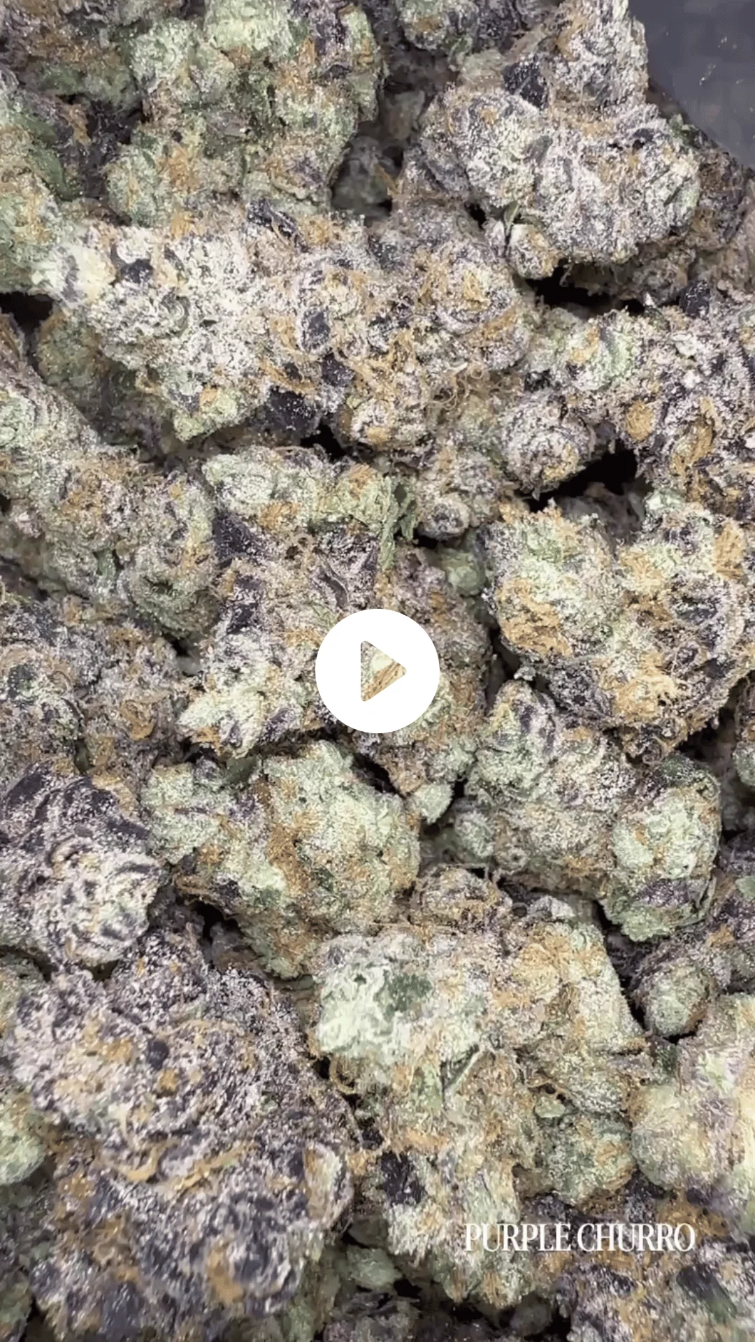 Purple Churro
